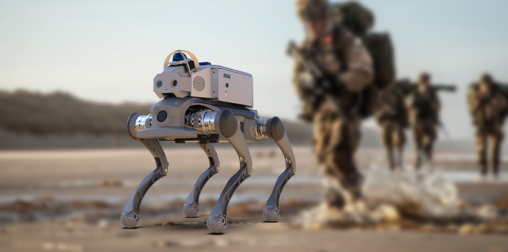 Special-domain inspection scenario