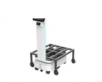 L-300