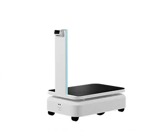 L-300E